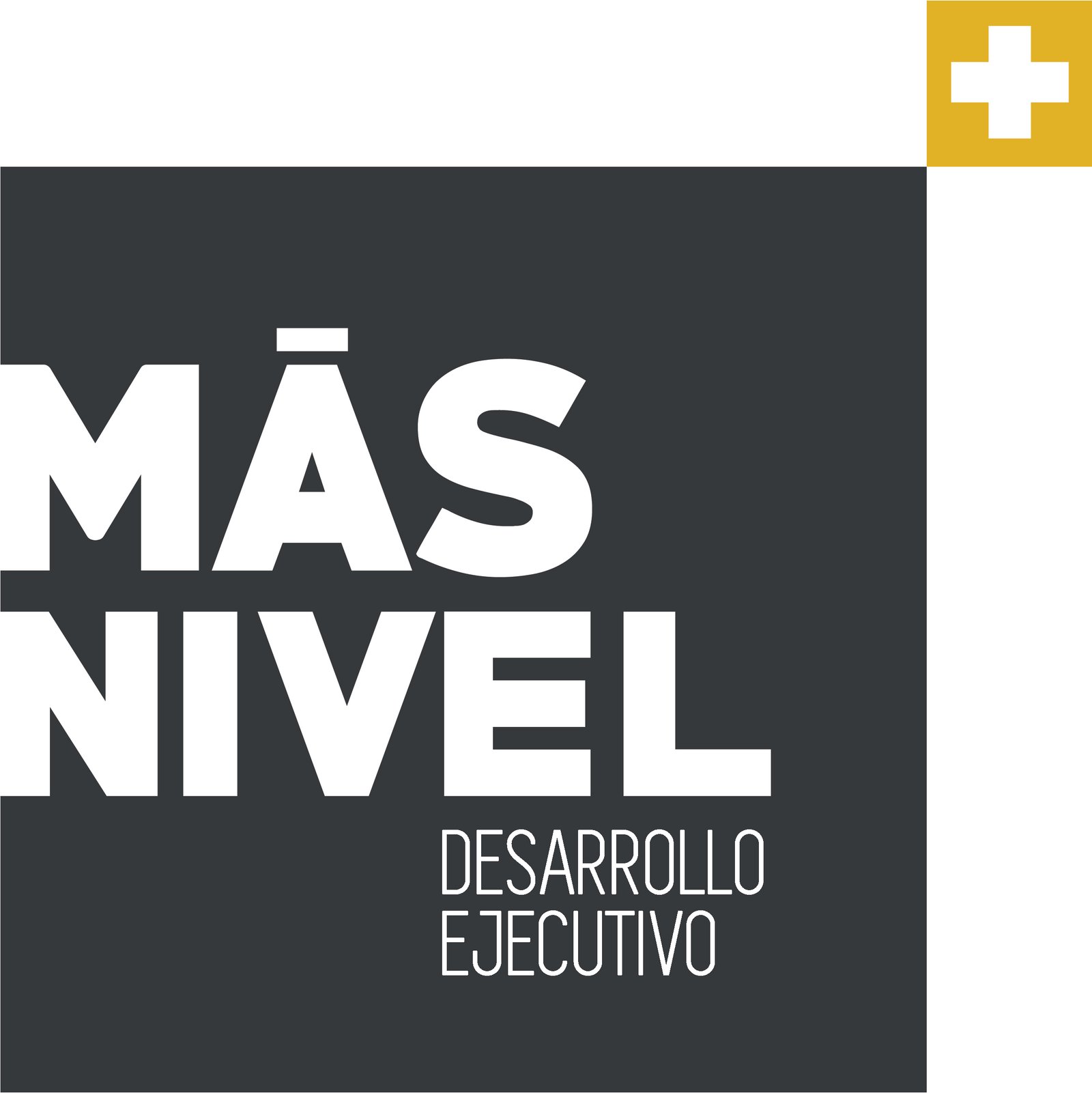 Más Nivel Desarrollo Ejecutivo