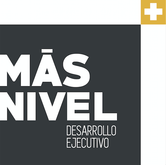 MásNivel. Desarrollo Ejecutivo.